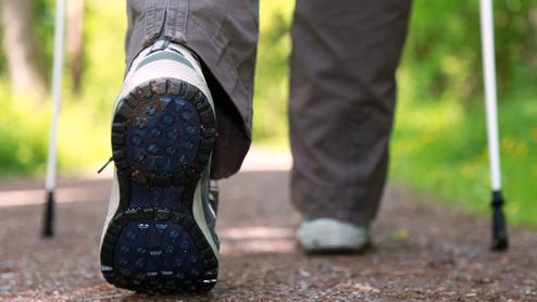 Nahaufnahme eines Wanderschuhs mit abgenutzter Sohle auf einem naturbelassenen Waldweg.